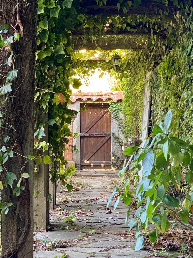 Le Rez De Jardin Albi Hotell Exteriör bild